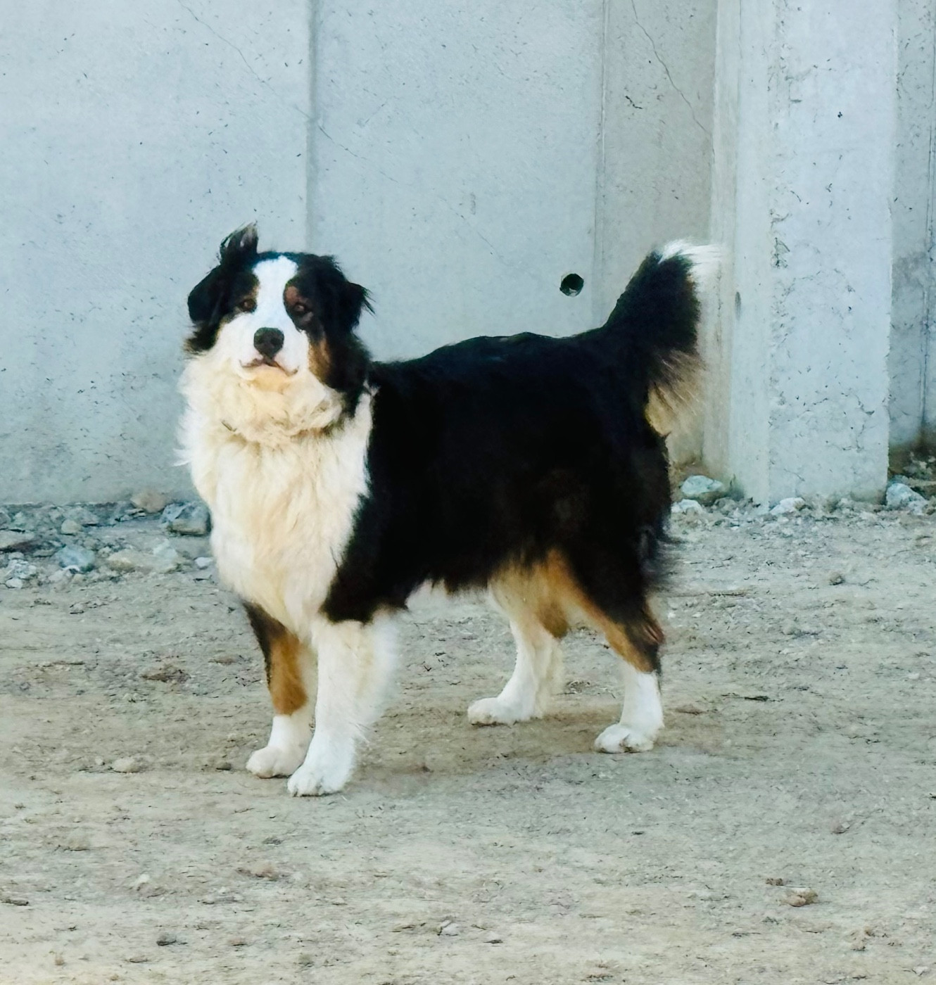 Rita (Sans Affixe)